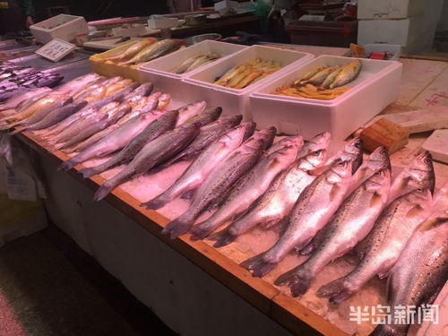 青島水產品交易遇冷，進口水產停售，市場監管部門嚴查進貨來源