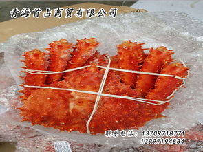 鮮活水產品批發與供應新渠道 探索郵編商務網的商業價值