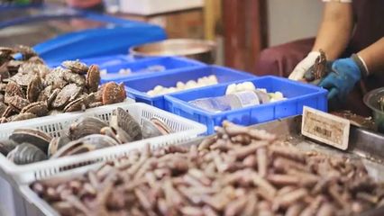 煙臺開海首日！凌晨碼頭沸騰，生猛海鮮批量上岸直供市民餐桌